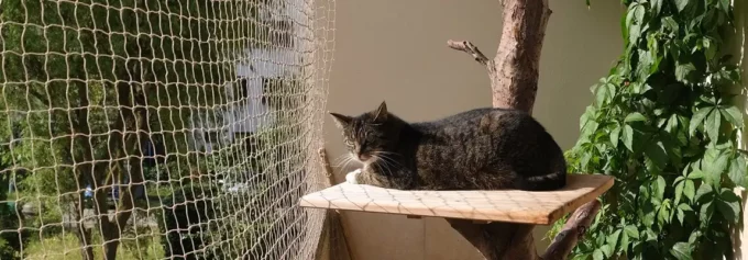Montáž siete na balkón pre mačky